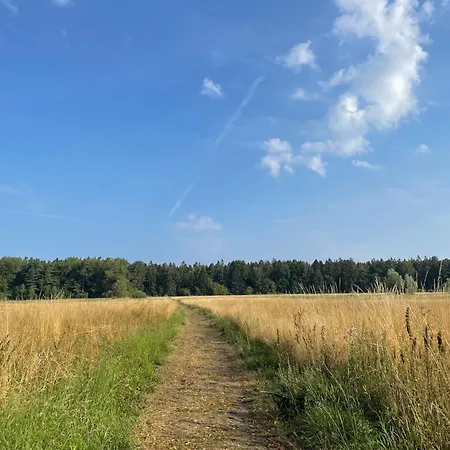 Plażowicze - Letniskowe W Mielnie Dom wakacyjny Mielno (Koszalin)
